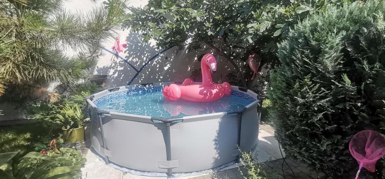 Apartman Slavuj ベオグラード エクステリア 写真